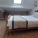 Hotel Dandy Centre