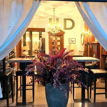 Dandy Centre 호텔